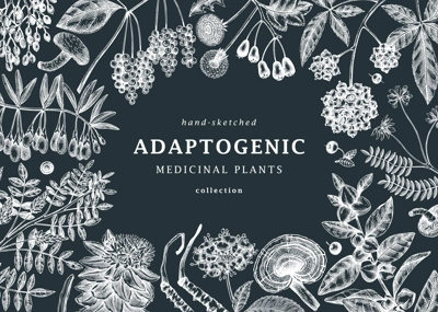 Adaptogenic plants background. Hand-sketched medicinal herbs, weeds, berries, leaves frame design. Perfect for brands, label, packaging. Hand sketched adaptogens outlines on chalkboard